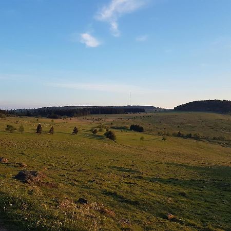 Ferienwohnung Pusteblume Ehrenberg  Bagian luar foto